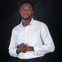 original sound - ROGER MENZ