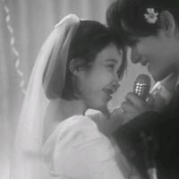 rose_roses18