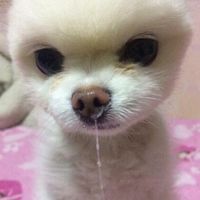 오리지널 사운드 - 이재용아내