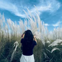 original sound - anee___giri