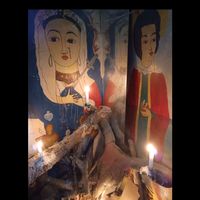 maestrotarot329