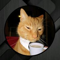 ____kesu5