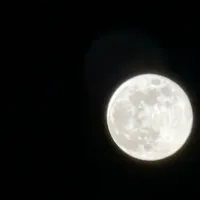 original sound - mah_mood004