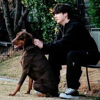 kookie_1102