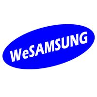 wesam_sung