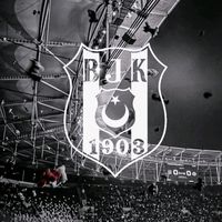 rabiagok_81