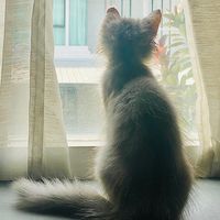 monnie.paw