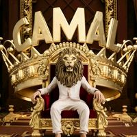 camal_seferli06