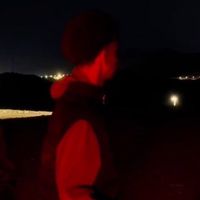 الصوت الأصلي