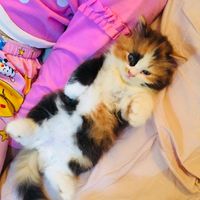suara asli - Rara😎😎