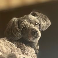 coco12108