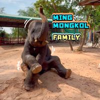 เสียงต้นฉบับ - mingmongkol
