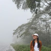 mely.inphidane