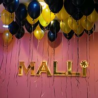 original sound - MalliSilkPalacee