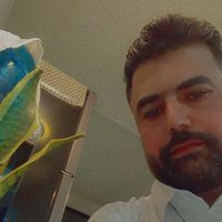 الصوت الأصلي