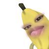 lil.haz1