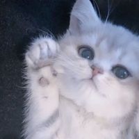 たましいの居場所
