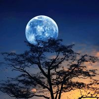 nhạc nền - Tuyệt sắc cảnh quan