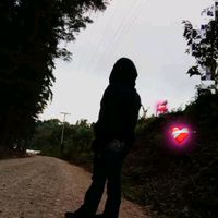 celosita5026