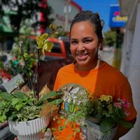 vivero.nagua