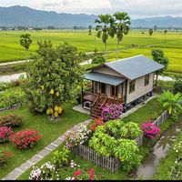 original sound - Su Su