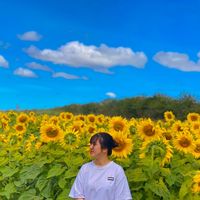 nhạc nền - 2001🌻