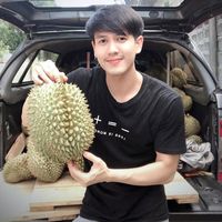 เสียงต้นฉบับ - boy8666666