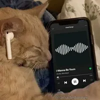 original sound - dreamynote_x