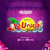 Tattoo La Unica Tropical
