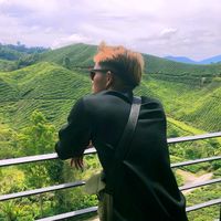 bunyi asal - 🐀