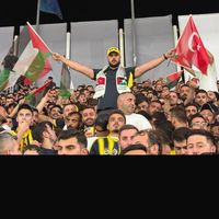 orijinal ses