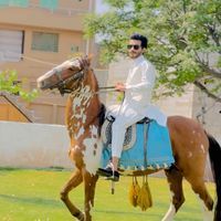 chaudhary_talha3392