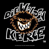 die_wilden_kerle_2