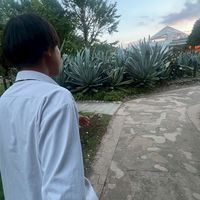 t0ra_ll