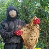 original sound - Al Haddad Madu