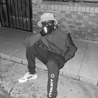 sedi.styles