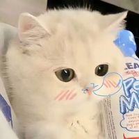 nhạc nền - ꧁PNTL꧂