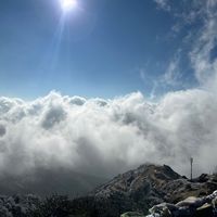 karuna124789765