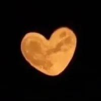 original sound - ko8811