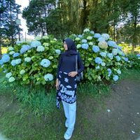 anisawdy_