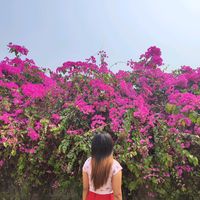 original sound - user62663327498