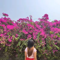 original sound - mdydating6