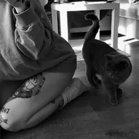 original sound - weemot