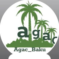 agac_baku_1