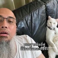 stark_white9