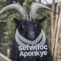 sefwifocaponkye