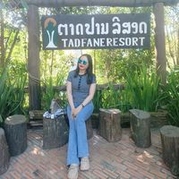 เสียงต้นฉบับ - noy
