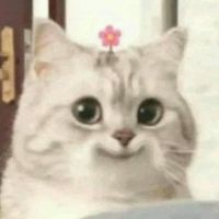 tammachat75