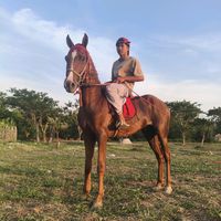original sound - ဂျော်ကီစိန်းတစ်လုံး
