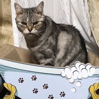 オリジナル楽曲 - ノブリン